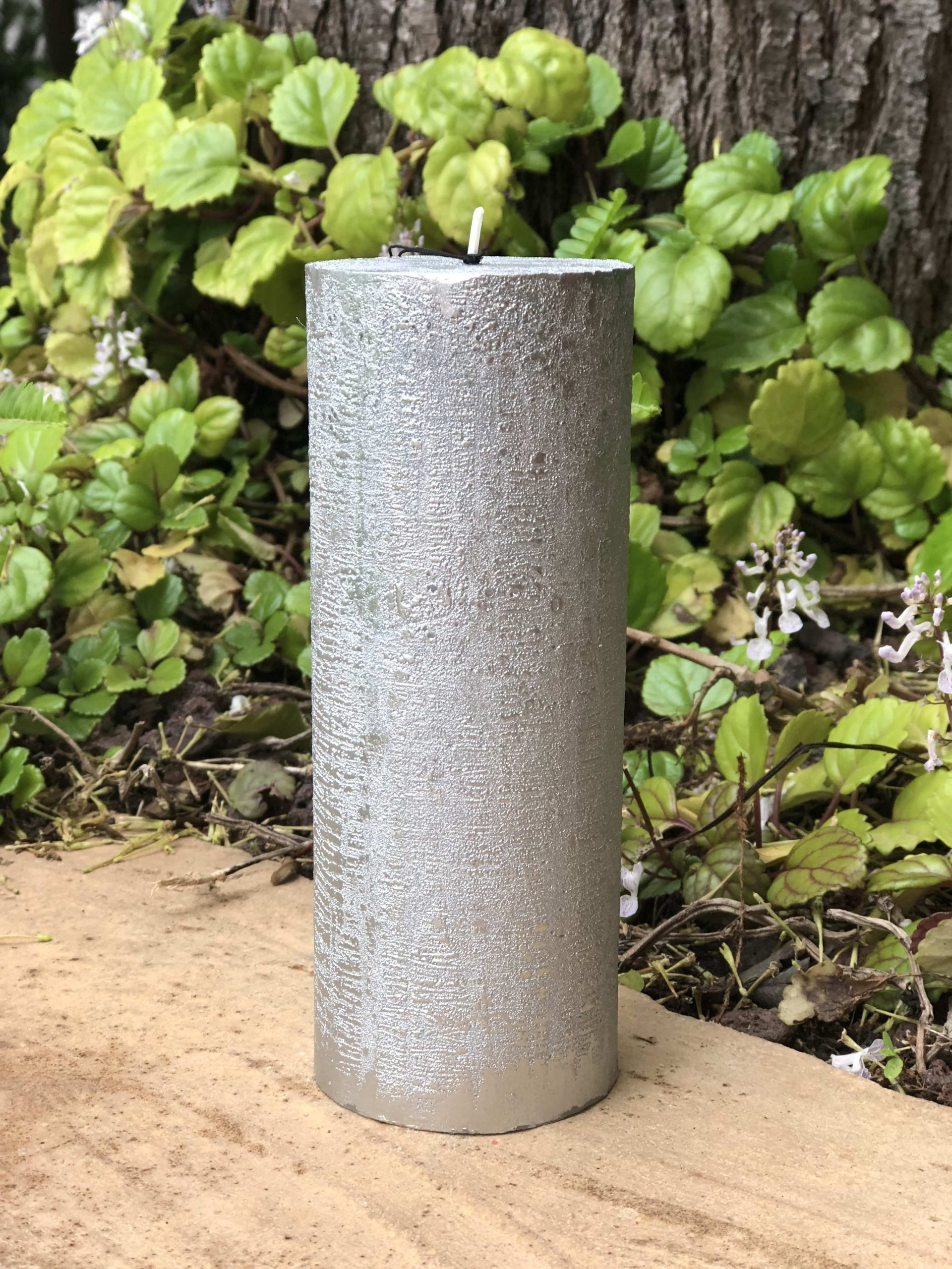 DG-V718 PLATA